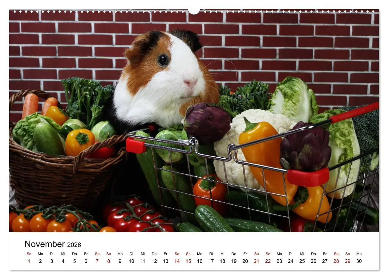 Bild: 9783457768099 | Unsere Meerschweinchen (hochwertiger Premium Wandkalender 2026 DIN...