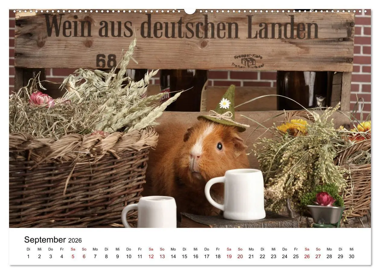 Bild: 9783457768099 | Unsere Meerschweinchen (hochwertiger Premium Wandkalender 2026 DIN...