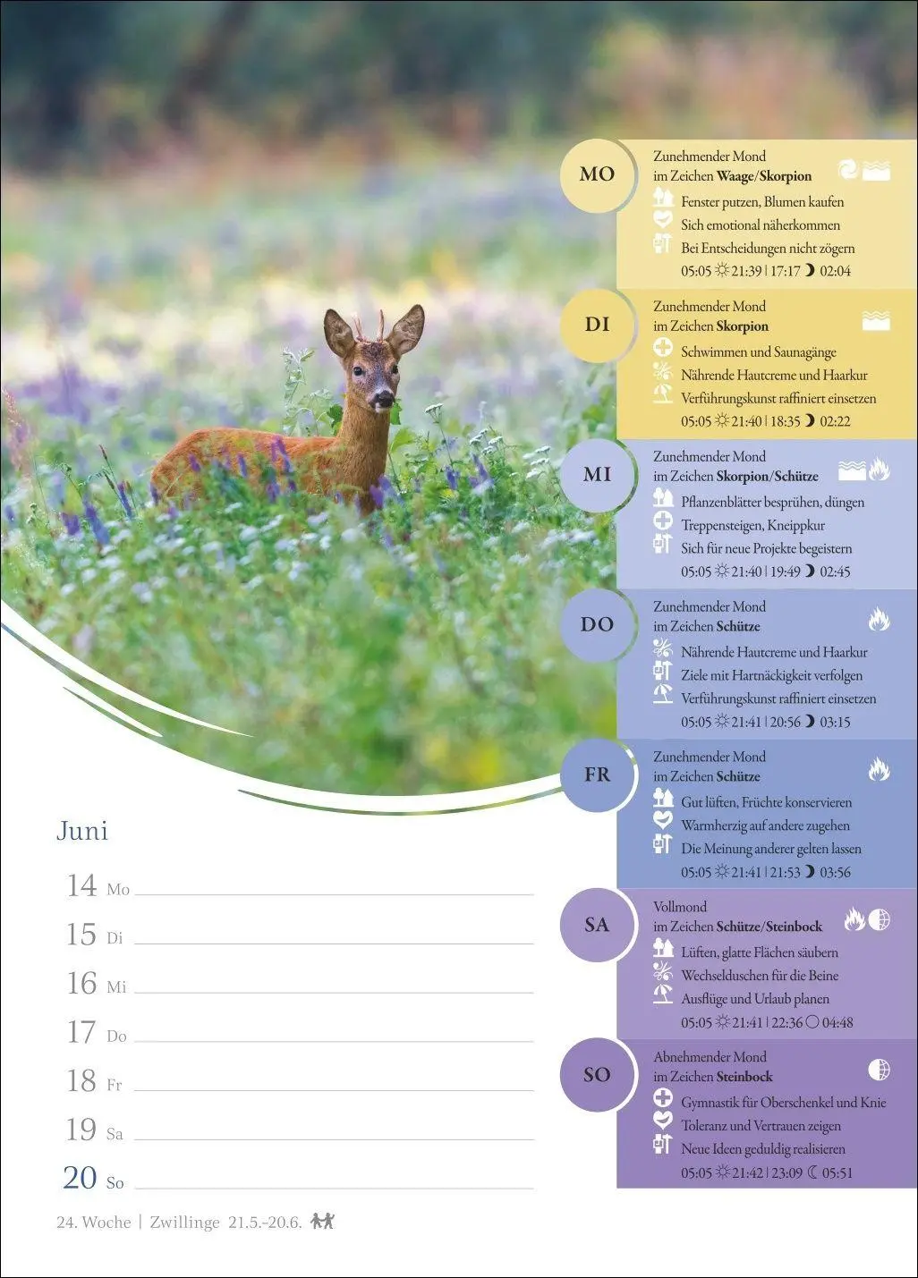 Bild: 9783840038099 | Mondkalender Wochenkalender 2027 - 53 Wochenblätter mit praktischen...