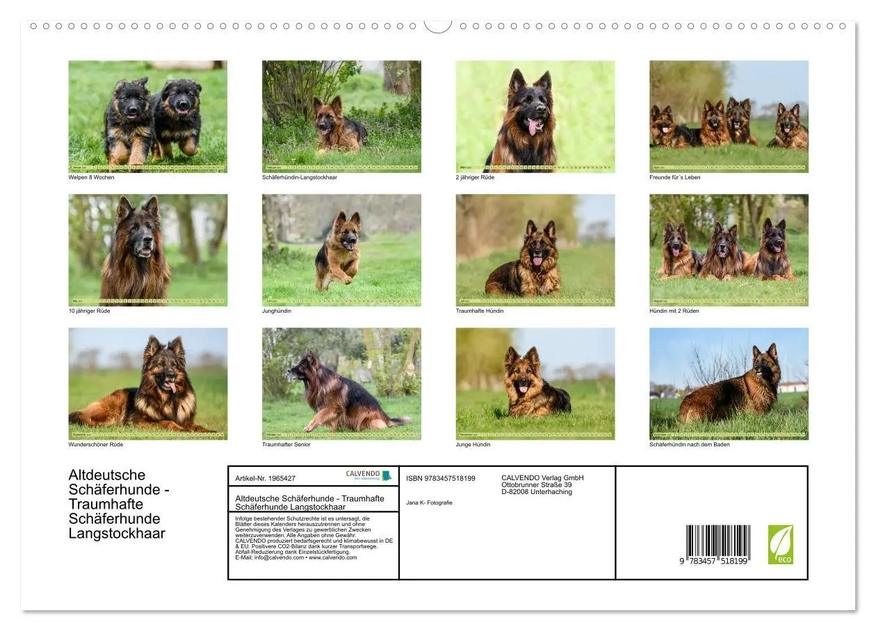 Bild: 9783457518199 | Altdeutsche Schäferhunde - Traumhafte Schäferhunde Langstockhaar...