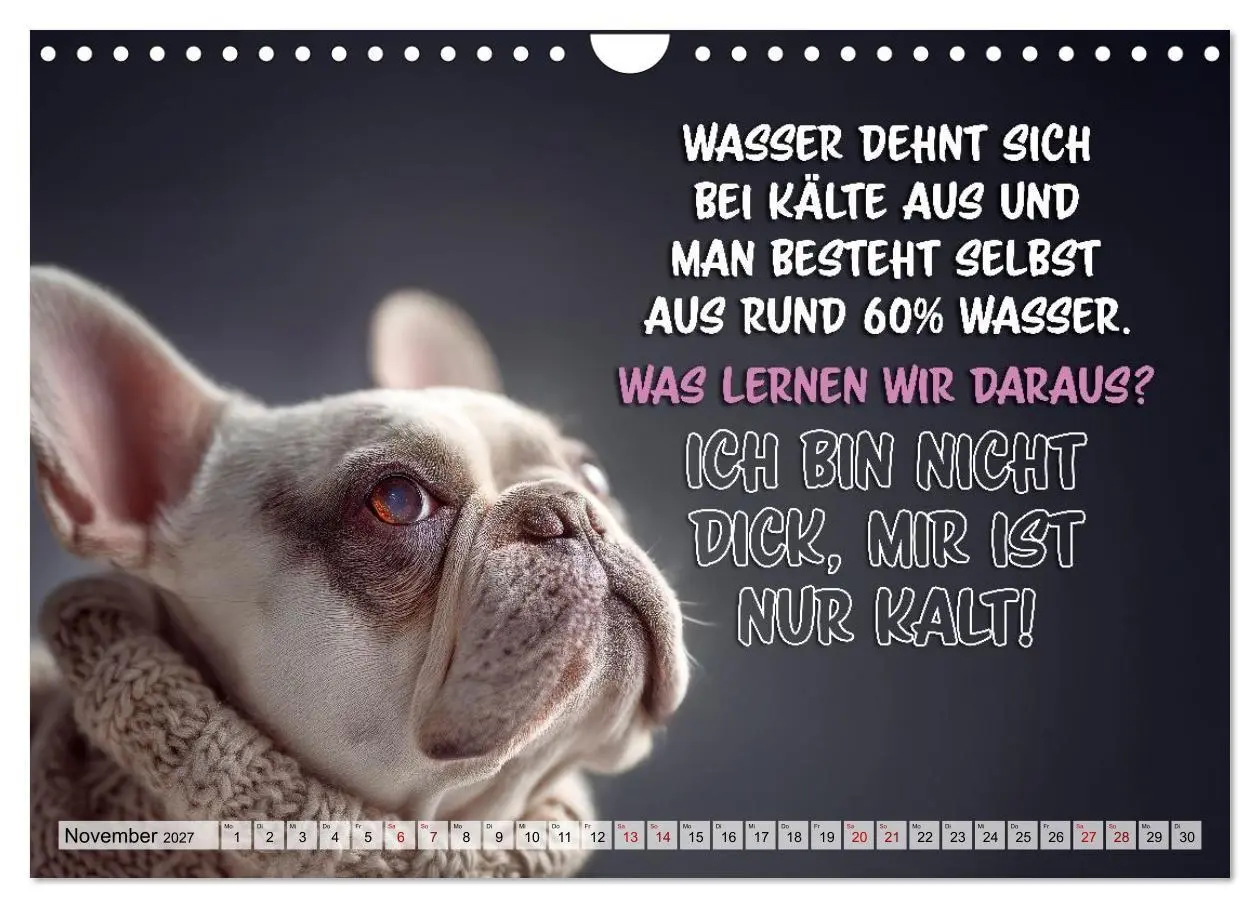 Bild: 9783594378199 | Menschlich auf vier Pfoten - Lustige Frenchies (Wandkalender 2027...