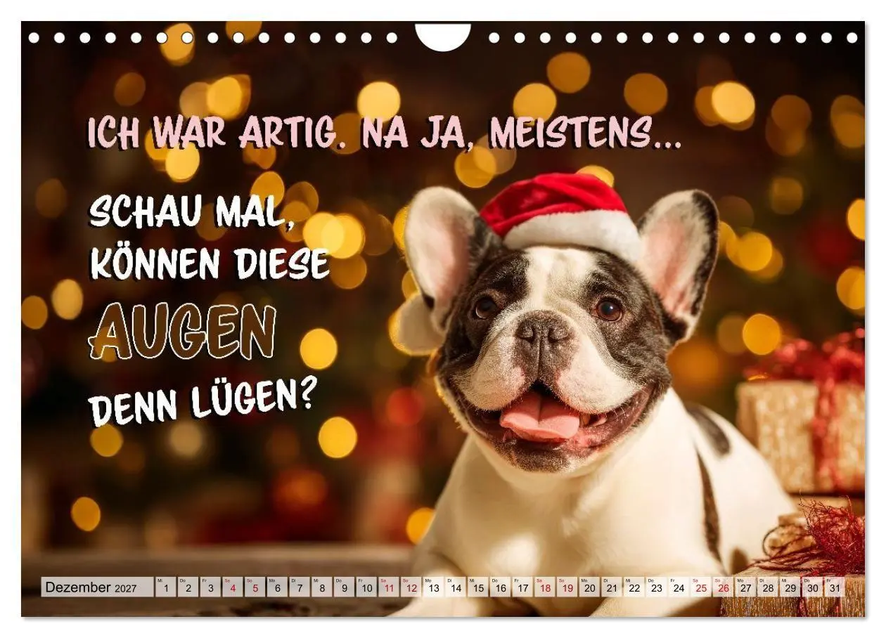 Bild: 9783594378199 | Menschlich auf vier Pfoten - Lustige Frenchies (Wandkalender 2027...