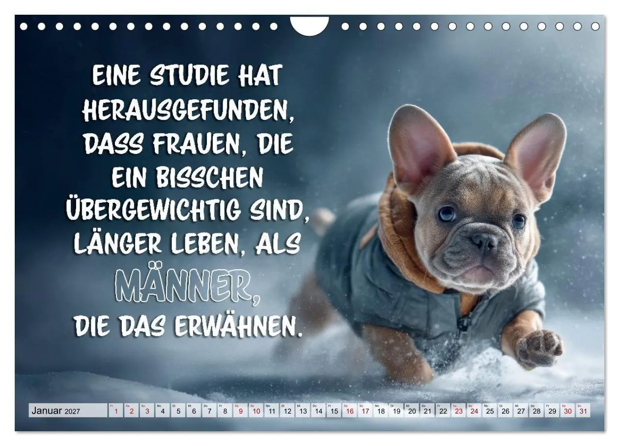 Bild: 9783594378199 | Menschlich auf vier Pfoten - Lustige Frenchies (Wandkalender 2027...