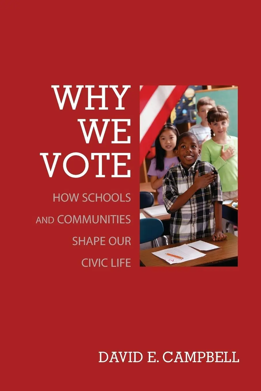Cover: 9780691138299 | Why We Vote | How Schools and Communities Shape Our Civic Life | Buch