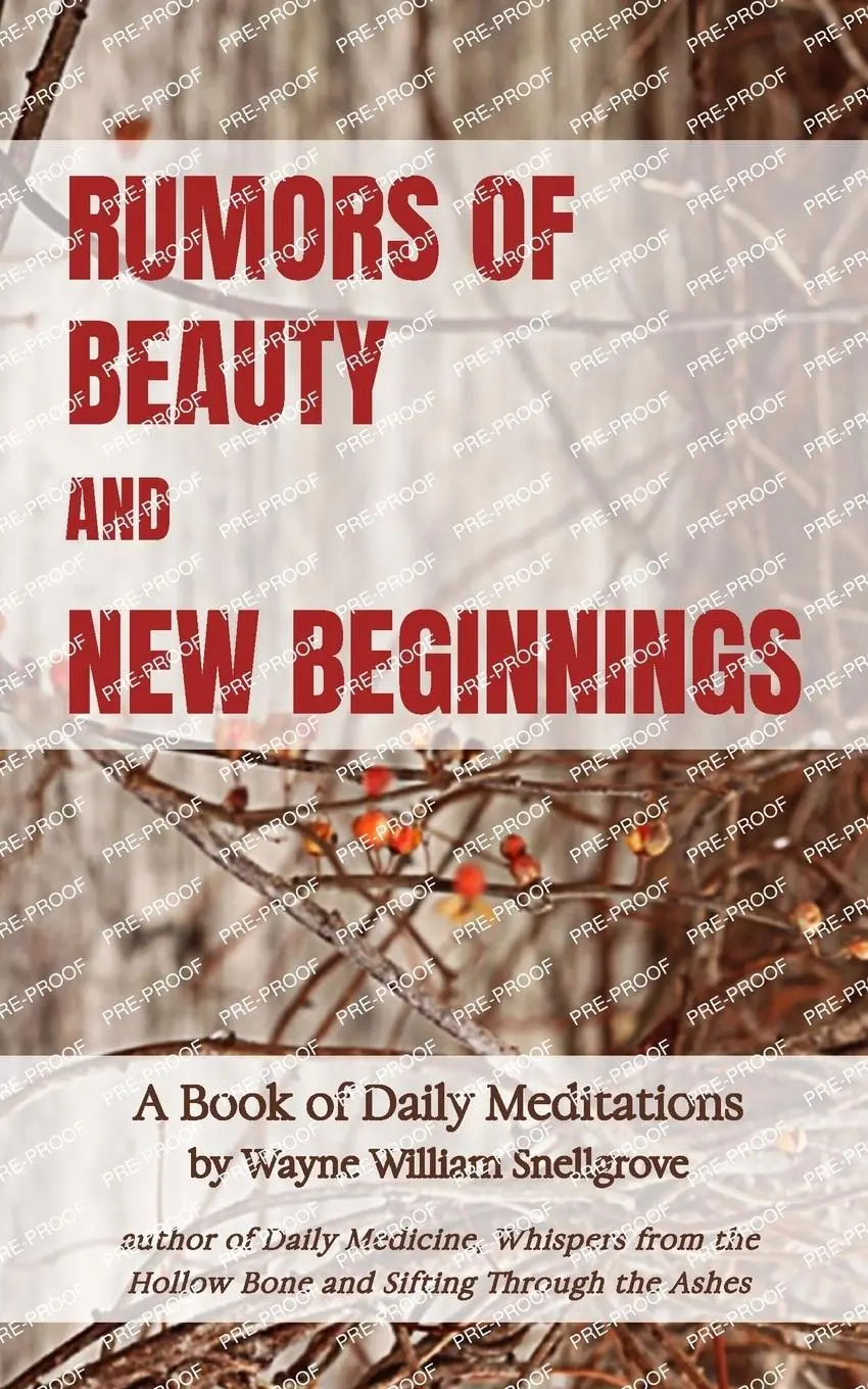 Cover: 9781961548299 | Rumors of Beauty and New Beginnings | Wayne William Snellgrove | Buch