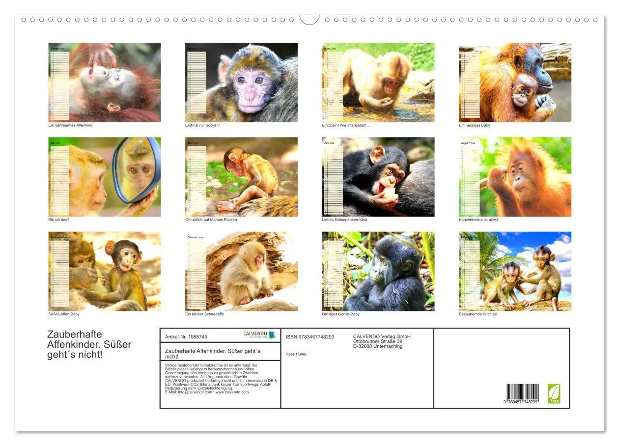 Bild: 9783457748299 | Zauberhafte Affenkinder. Süßer geht´s nicht! (Wandkalender 2026 DIN...