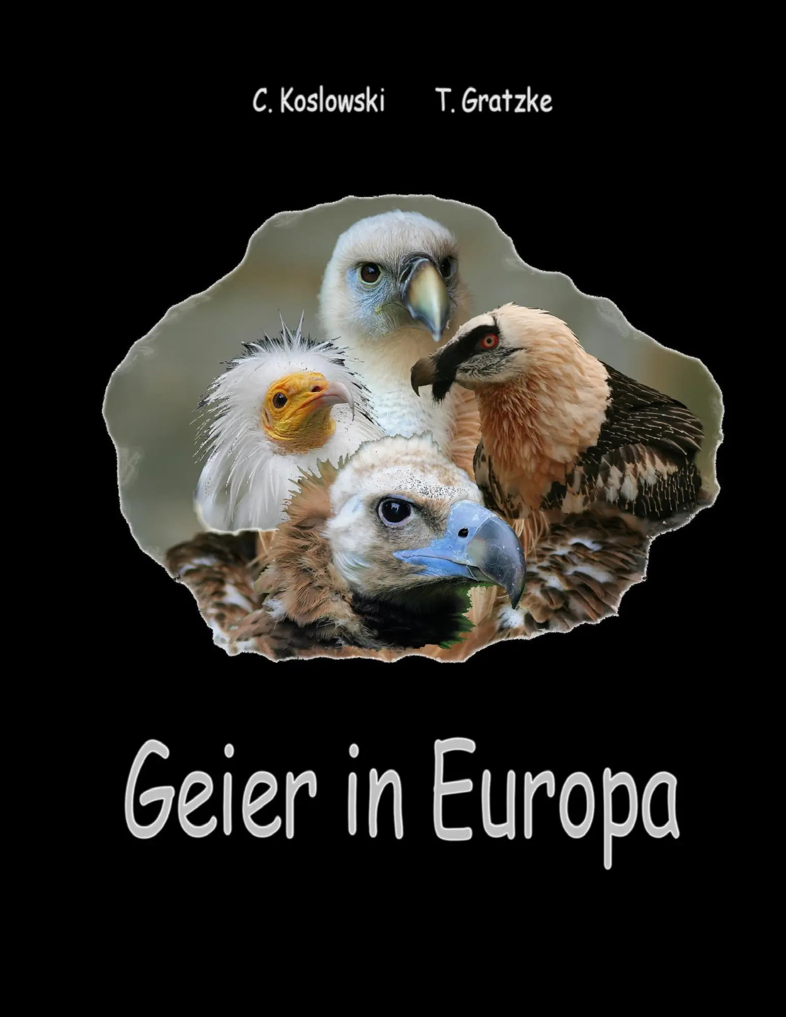 Cover: 9783839128299 | Geier in Europa | Claudia Koslowski (u. a.) | Taschenbuch | 60 S.