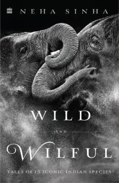 Cover: 9789353578299 | Wild And Wilful | Neha Sinha | Taschenbuch | Kartoniert / Broschiert
