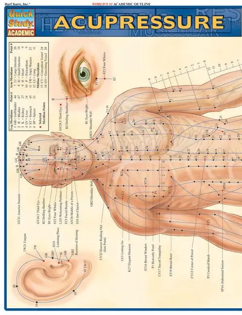 Cover: 9781572228399 | Acupressure | Vincent Perez | Broschüre | Englisch | 2005