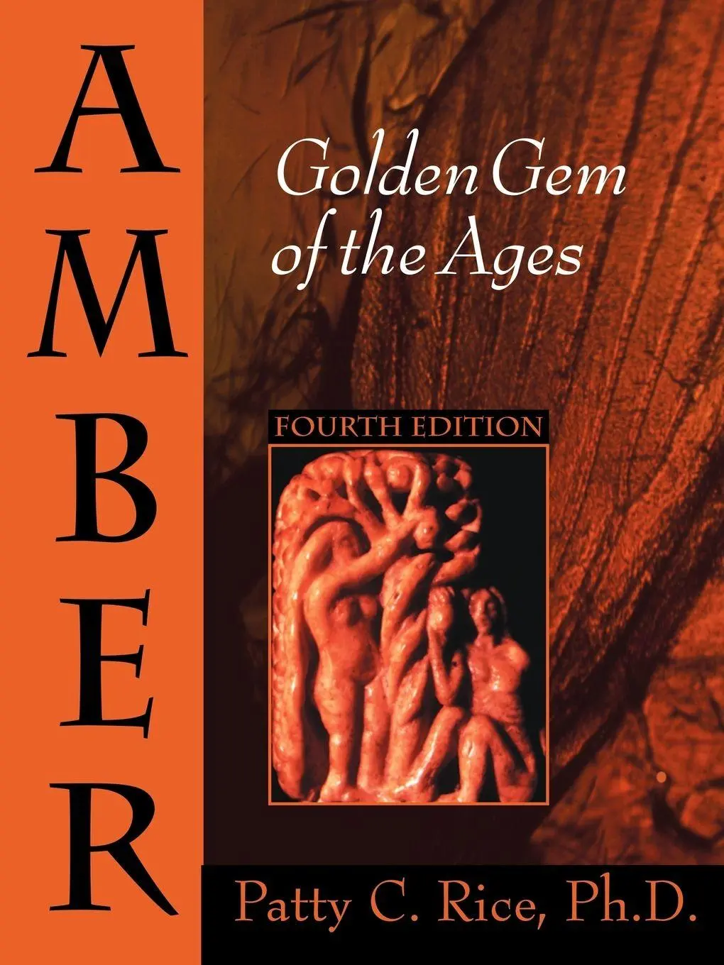 Cover: 9781425938499 | Amber | Golden Gem of the Ages: Fourth Edition | Patty C. Rice | Buch