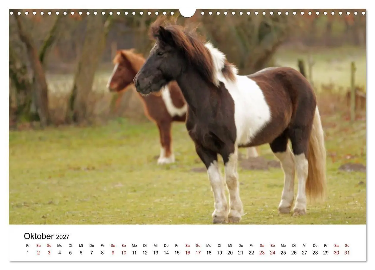 Bild: 9783516818499 | Islandpferde - Hufschlag aus Feuer und Eis (Wandkalender 2027 DIN...