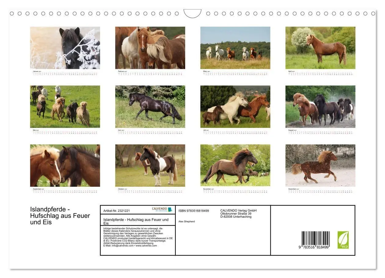Bild: 9783516818499 | Islandpferde - Hufschlag aus Feuer und Eis (Wandkalender 2027 DIN...