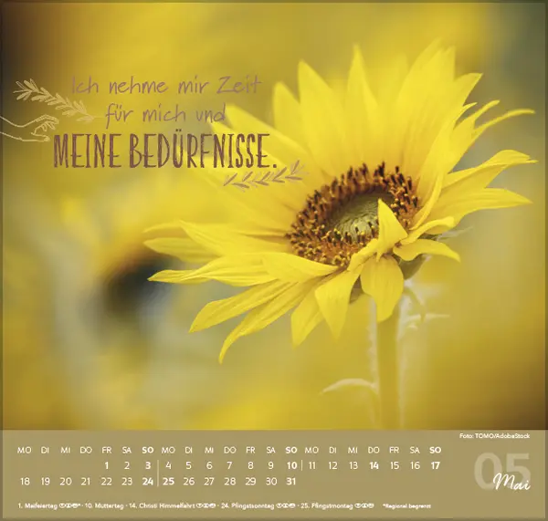Bild: 9783731888499 | Meine Träume werden wahr 2026 | Korsch Verlag | Kalender | 1 S. | 2026