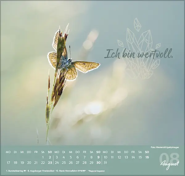 Bild: 9783731888499 | Meine Träume werden wahr 2026 | Korsch Verlag | Kalender | 1 S. | 2026