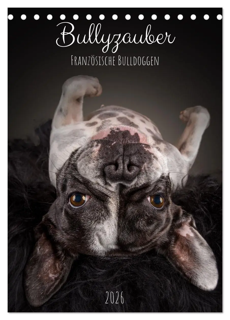 Cover: 9783516358599 | Bullyzauber - Französische Bulldoggen (Tischkalender 2026 DIN A5...