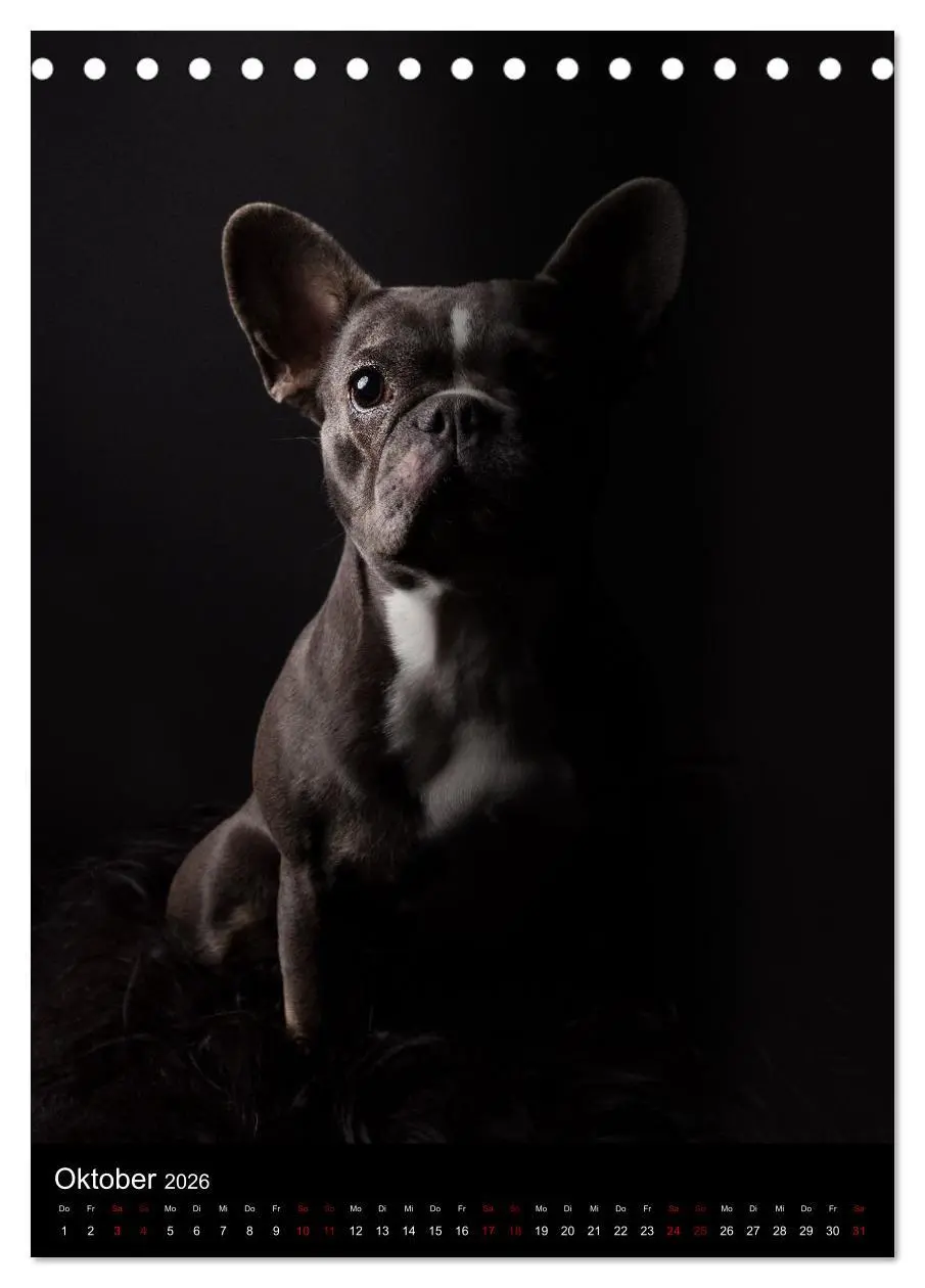 Bild: 9783516358599 | Bullyzauber - Französische Bulldoggen (Tischkalender 2026 DIN A5...