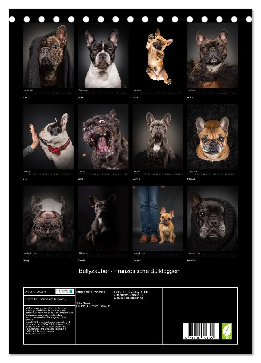 Bild: 9783516358599 | Bullyzauber - Französische Bulldoggen (Tischkalender 2026 DIN A5...