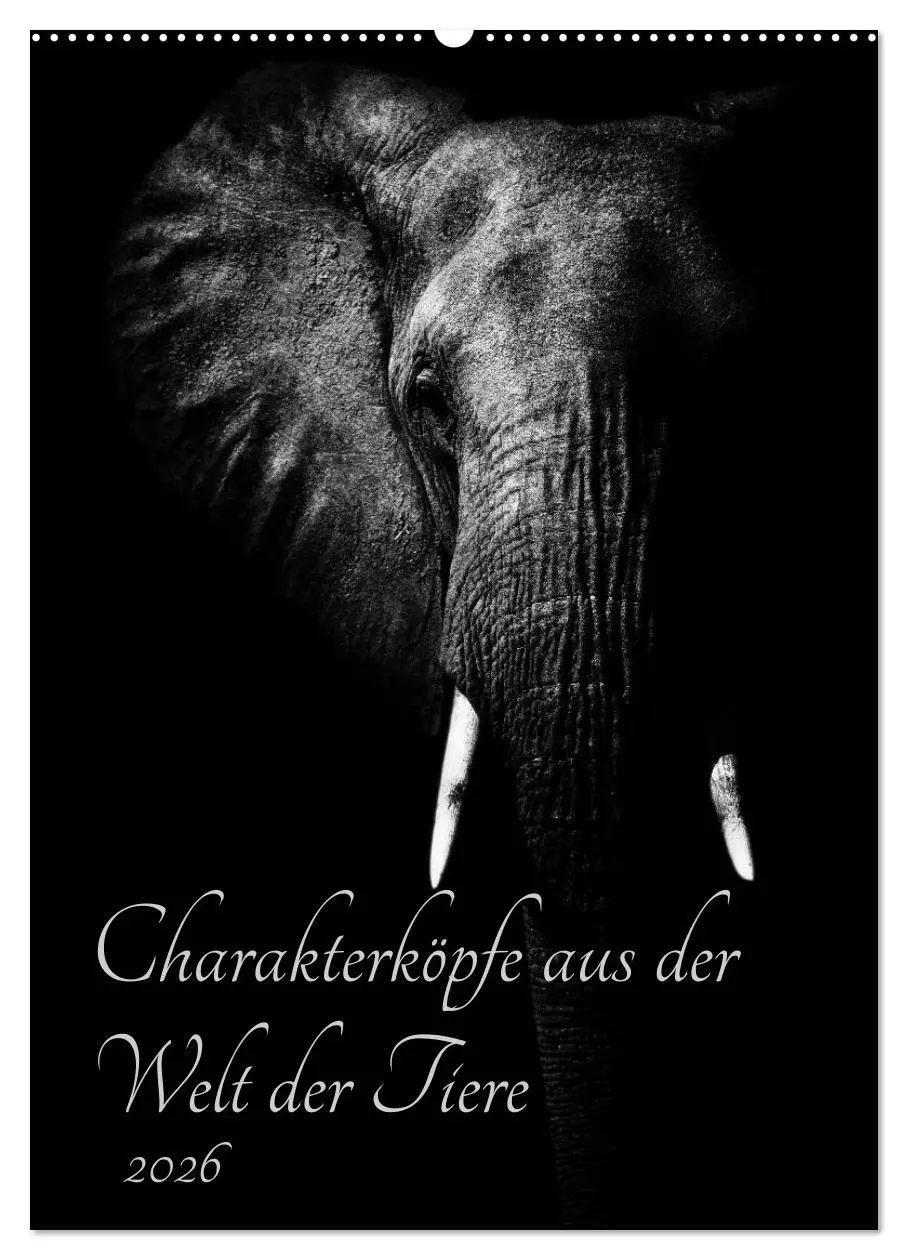 Cover: 9783516428599 | Charakterköpfe aus der Welt der Tiere (Wandkalender 2026 DIN A2...