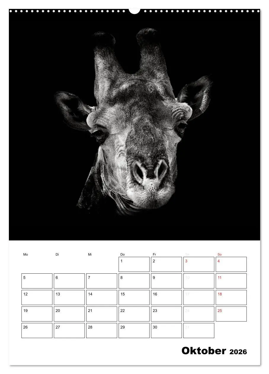Bild: 9783516428599 | Charakterköpfe aus der Welt der Tiere (Wandkalender 2026 DIN A2...