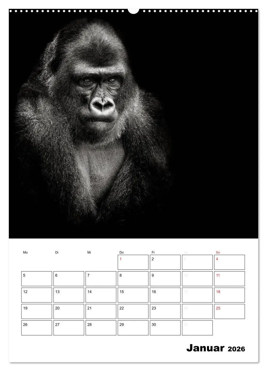 Bild: 9783516428599 | Charakterköpfe aus der Welt der Tiere (Wandkalender 2026 DIN A2...