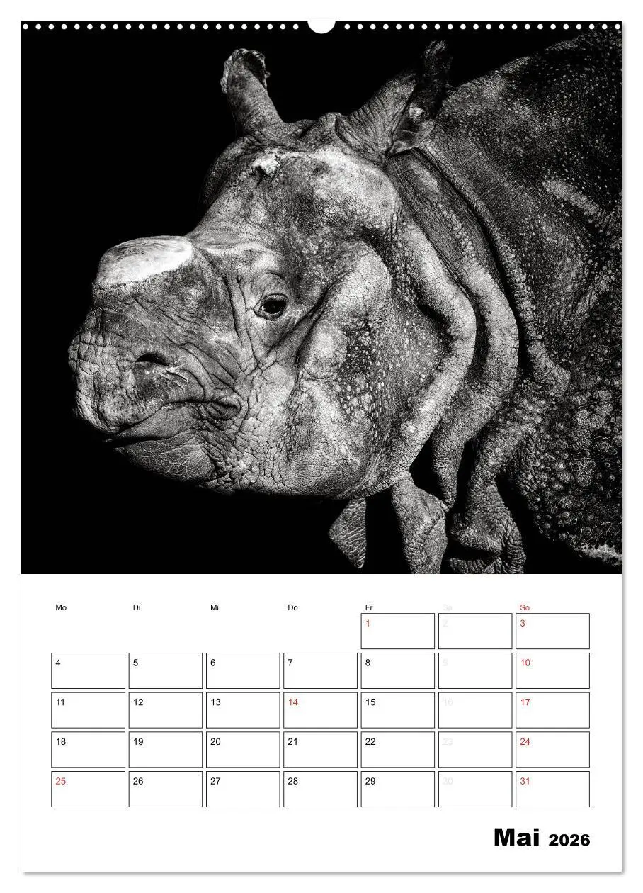 Bild: 9783516428599 | Charakterköpfe aus der Welt der Tiere (Wandkalender 2026 DIN A2...