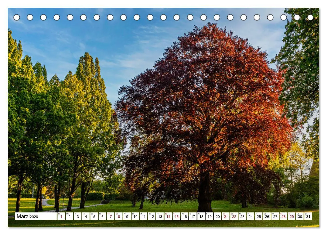 Bild: 9783457568699 | Heilbad Heiligenstadt Stadtansichten (Tischkalender 2026 DIN A5...