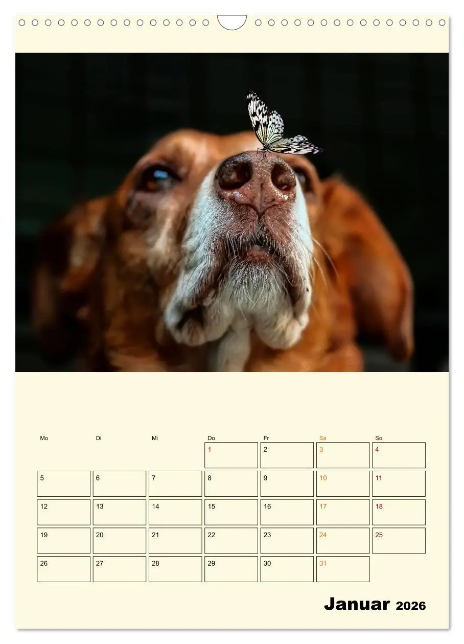 Bild: 9783516348699 | Lustig verrückt - der Tierkalender (Wandkalender 2026 DIN A3 hoch),...
