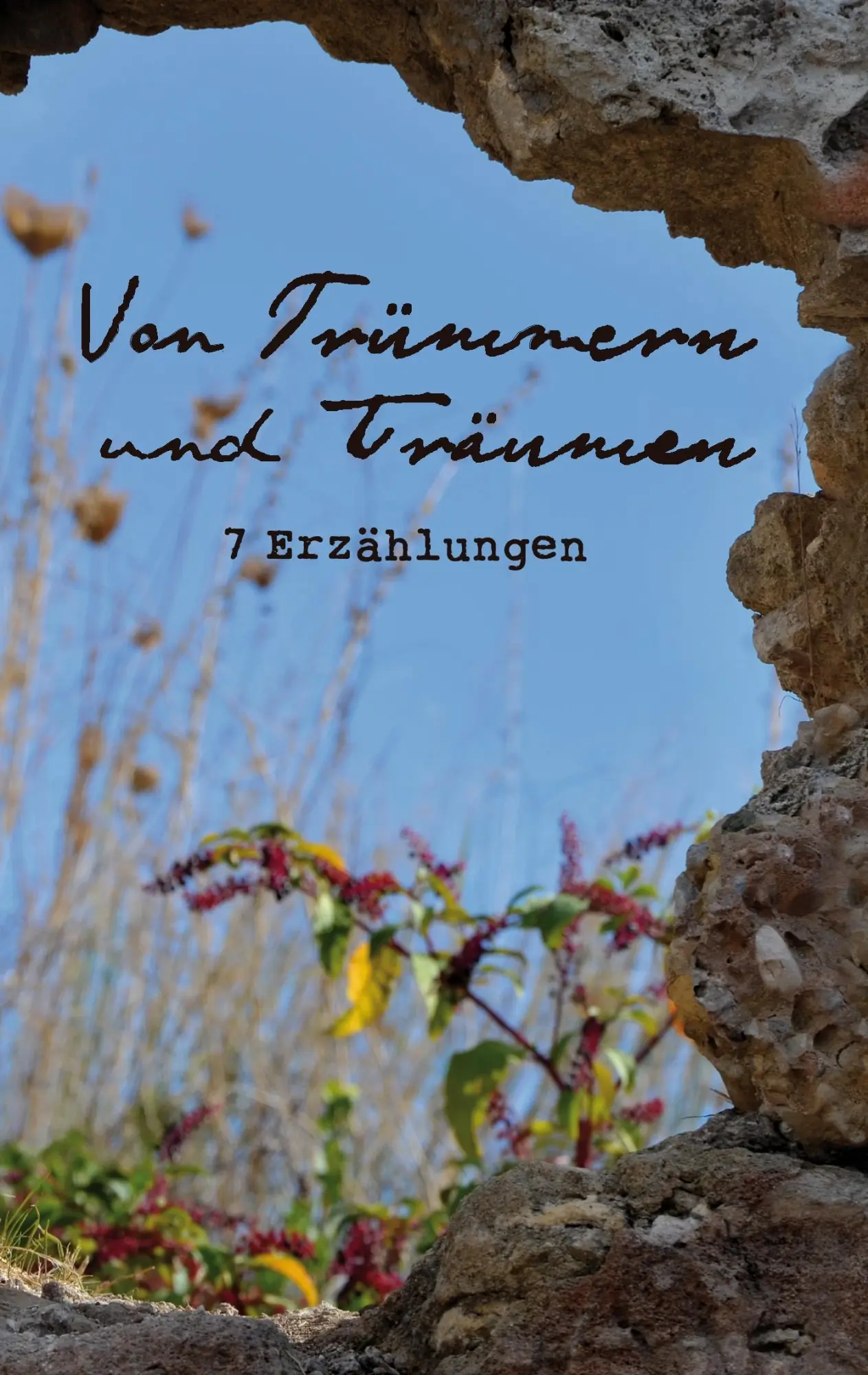 Cover: 9783743128699 | Von Trümmern und Träumen | 7 Erzählungen | Kerstin Herzog | Buch