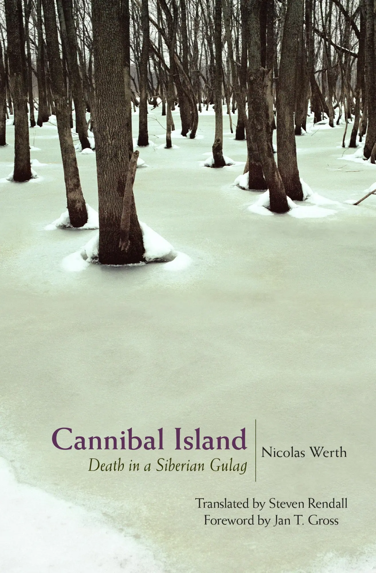 Cover: 9780691258799 | Cannibal Island | Death in a Siberian Gulag | Nicolas Werth | Buch