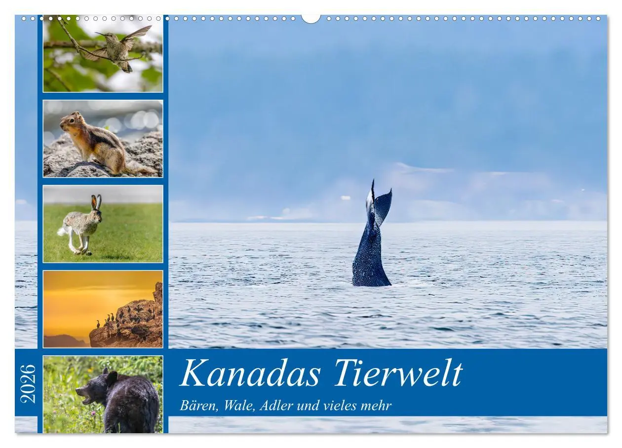 Cover: 9783457558799 | Kanadas Tierwelt - Bären, Wale und vieles mehr (Wandkalender 2026...