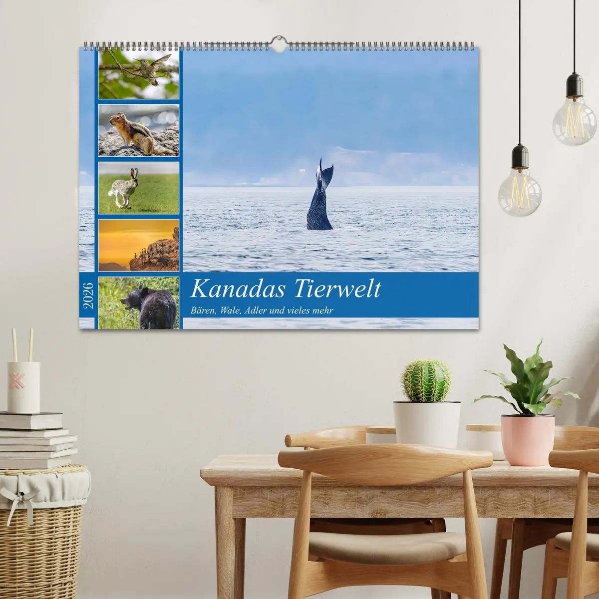 Bild: 9783457558799 | Kanadas Tierwelt - Bären, Wale und vieles mehr (Wandkalender 2026...