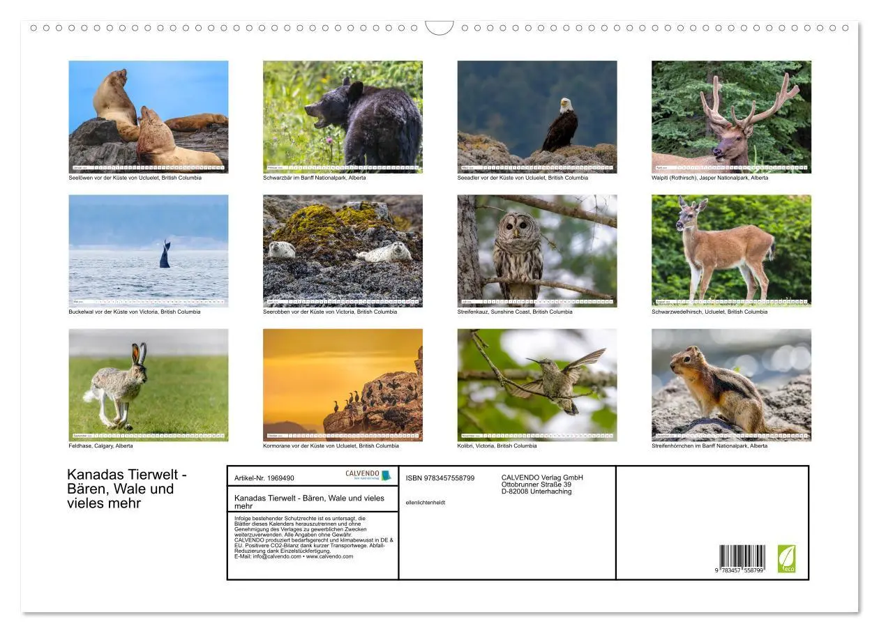 Bild: 9783457558799 | Kanadas Tierwelt - Bären, Wale und vieles mehr (Wandkalender 2026...