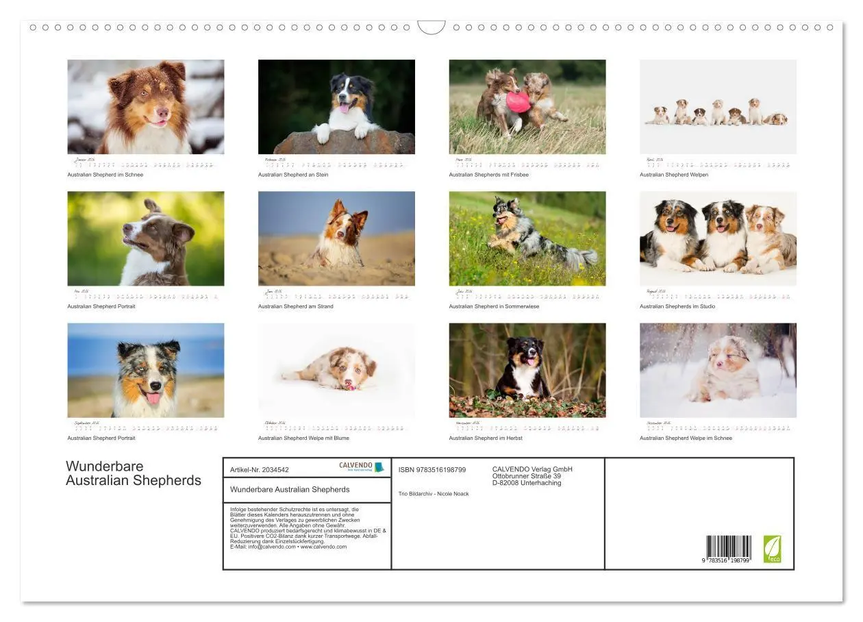 Bild: 9783516198799 | Wunderbare Australian Shepherds (Wandkalender 2026 DIN A2 quer),...