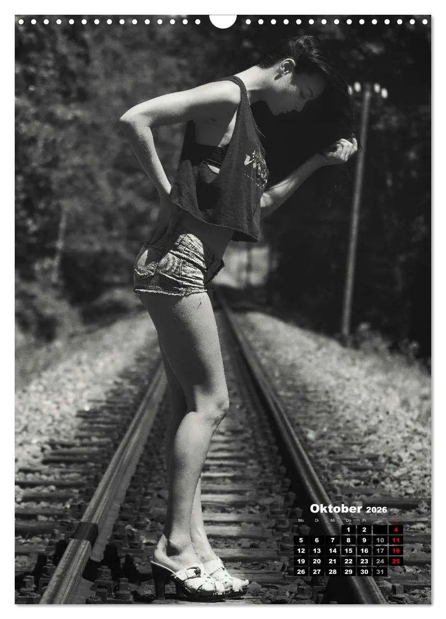 Bild: 9783516408799 | Christiane Schleicher Noir (Wandkalender 2026 DIN A3 hoch),...