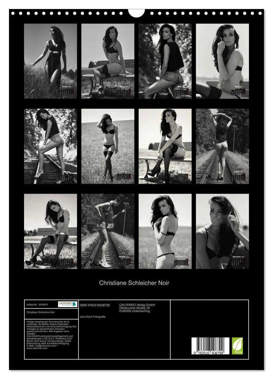 Bild: 9783516408799 | Christiane Schleicher Noir (Wandkalender 2026 DIN A3 hoch),...