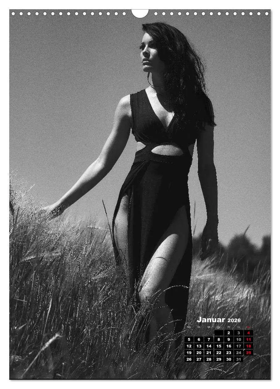 Bild: 9783516408799 | Christiane Schleicher Noir (Wandkalender 2026 DIN A3 hoch),...