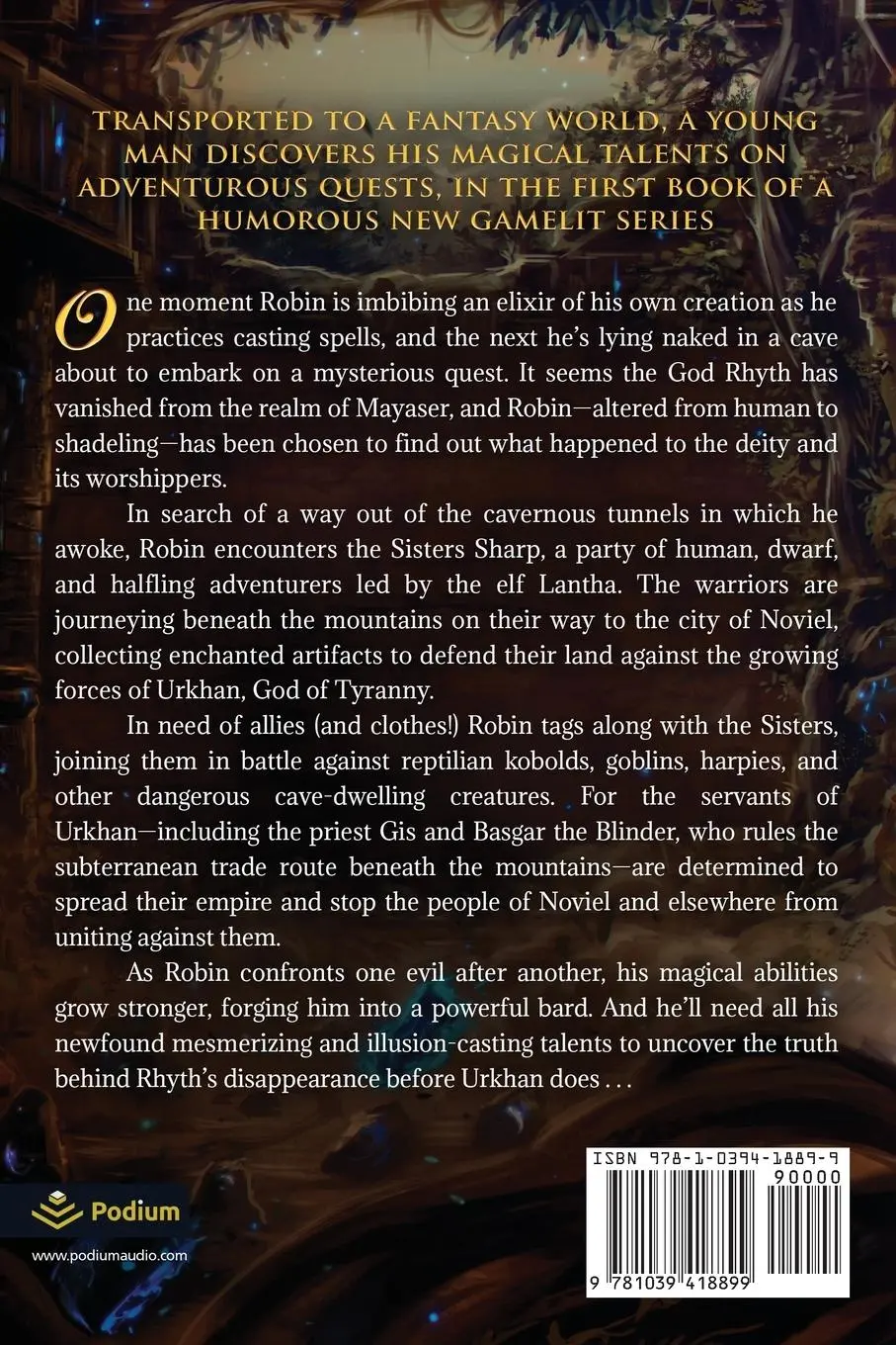 Rückseite: 9781039418899 | The Road to Noviel | A LitRPG Portal Fantasy | Tom O'Bedlam | Buch