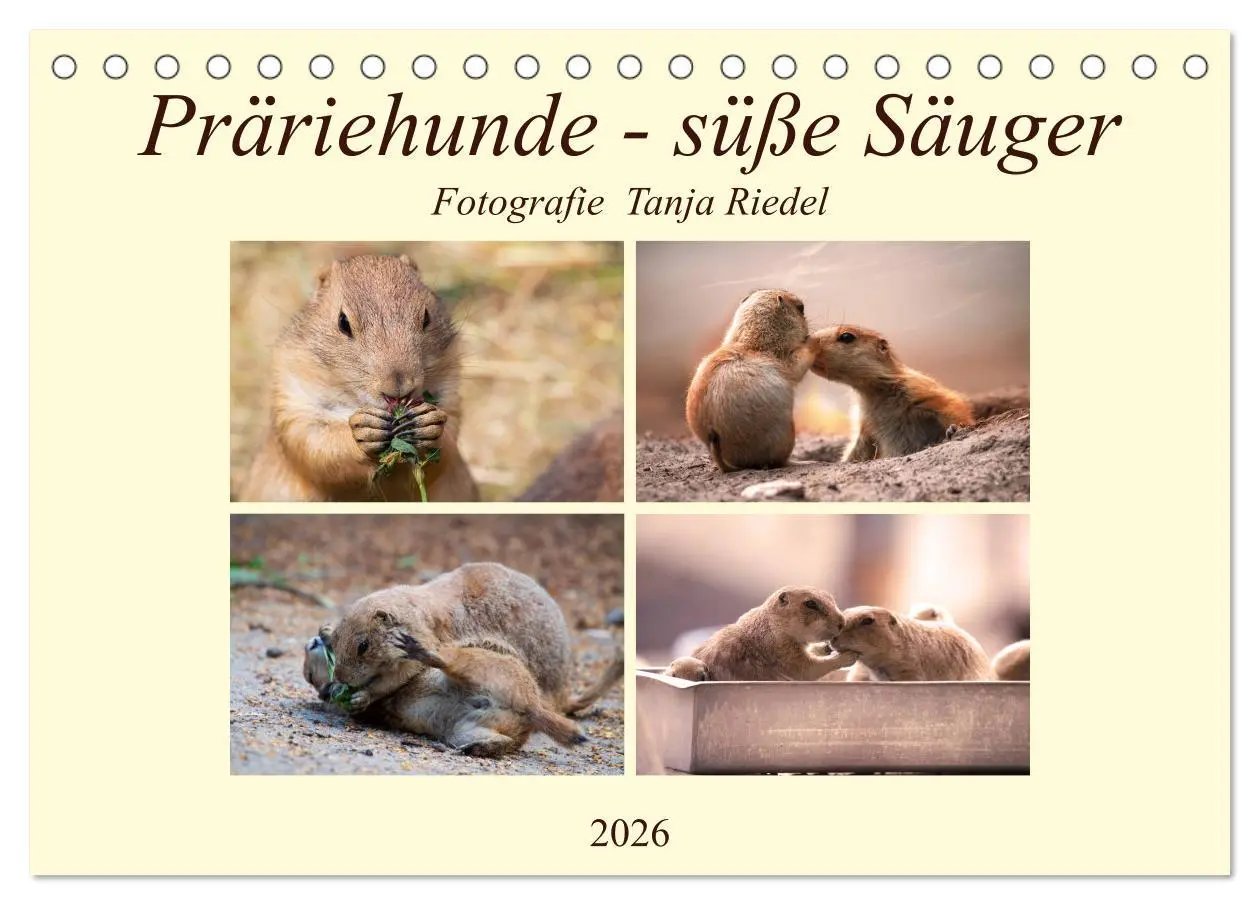 Cover: 9783457788899 | Präriehunde - süße Säuger (Tischkalender 2026 DIN A5 quer),...