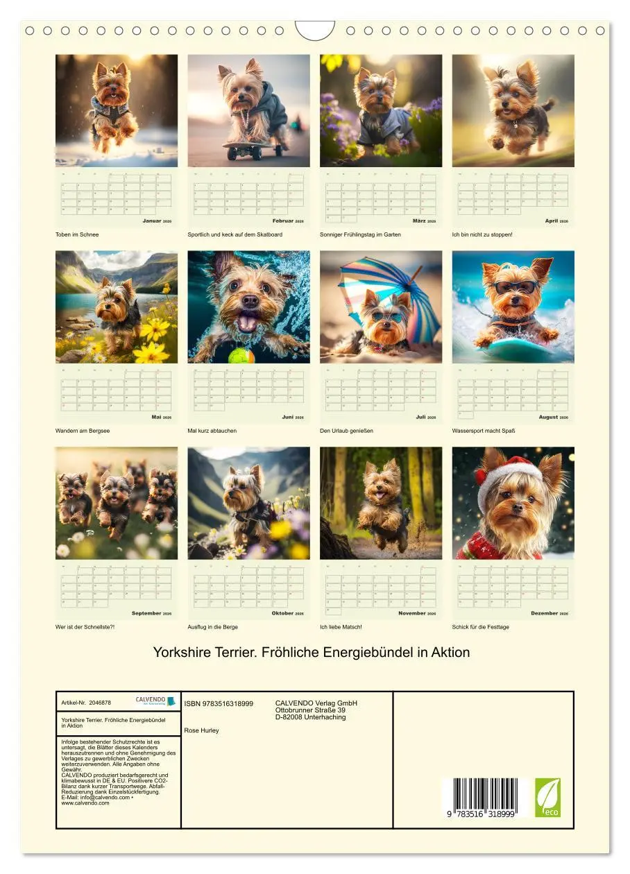 Bild: 9783516318999 | Yorkshire Terrier. Fröhliche Energiebündel in Aktion (Wandkalender...