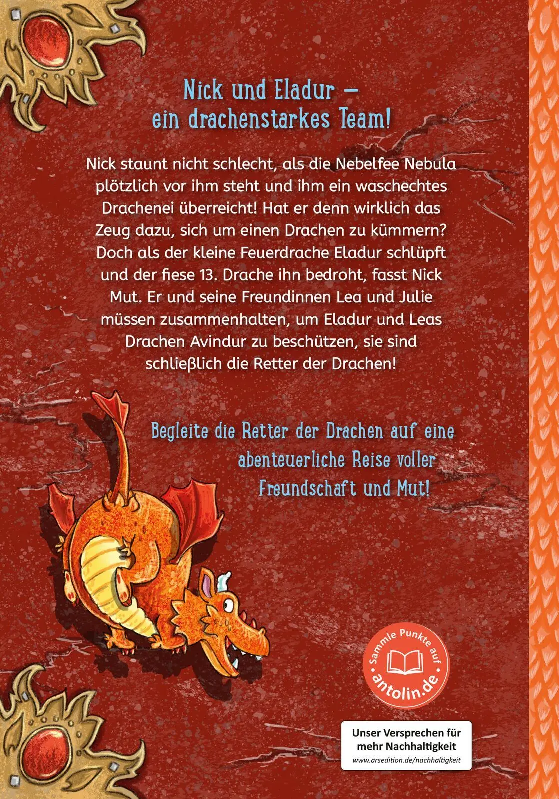Rückseite: 9783845858999 | Retter der Drachen - Erwecke das Feuer! (Retter der Drachen 2) | Buch
