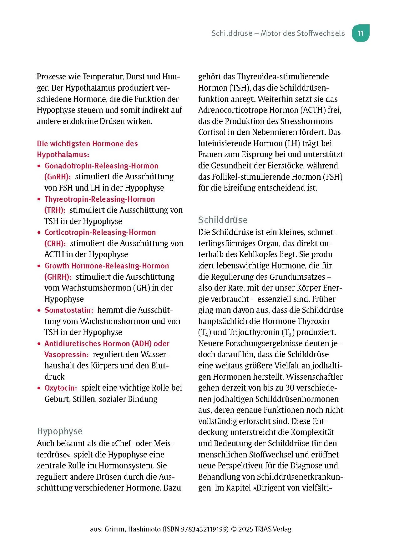 Bild: 9783432119199 | Naturheilpraxis: Hashimoto | Markus Grimm | Taschenbuch | 136 S.