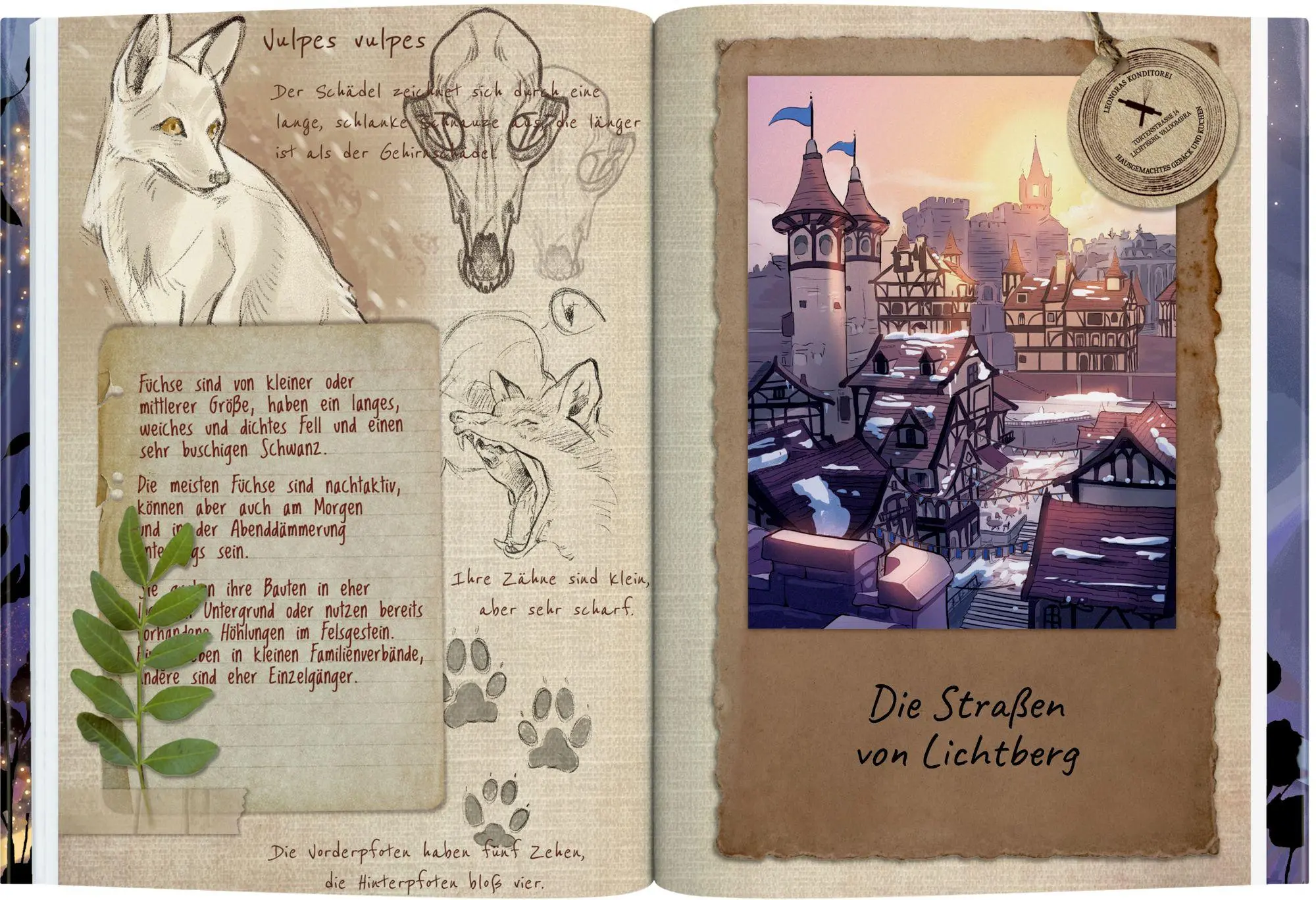 Bild: 9783649649199 | Valdombra (Bd. 2) | Die Lichter von Dunkelberg | Martina Folena | Buch