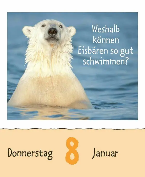 Bild: 9783731889199 | Wie faul ist das Faultier? 2026 | Verlag Korsch | Kalender | 328 S.