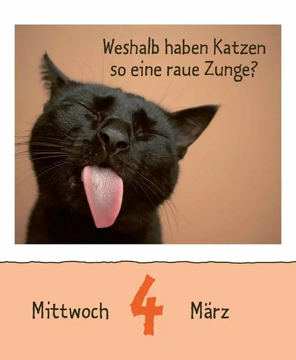 Bild: 9783731889199 | Wie faul ist das Faultier? 2026 | Verlag Korsch | Kalender | 328 S.