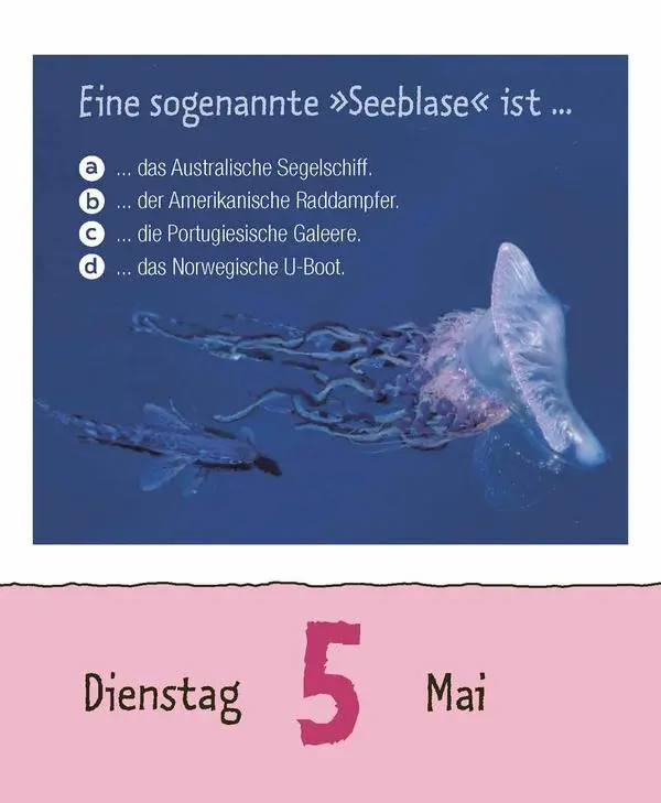 Bild: 9783731889199 | Wie faul ist das Faultier? 2026 | Verlag Korsch | Kalender | 328 S.