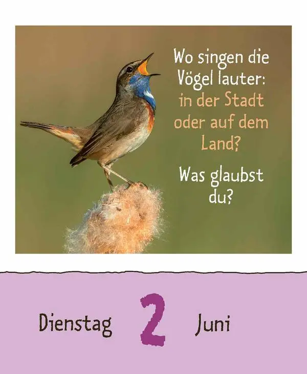 Bild: 9783731889199 | Wie faul ist das Faultier? 2026 | Verlag Korsch | Kalender | 328 S.
