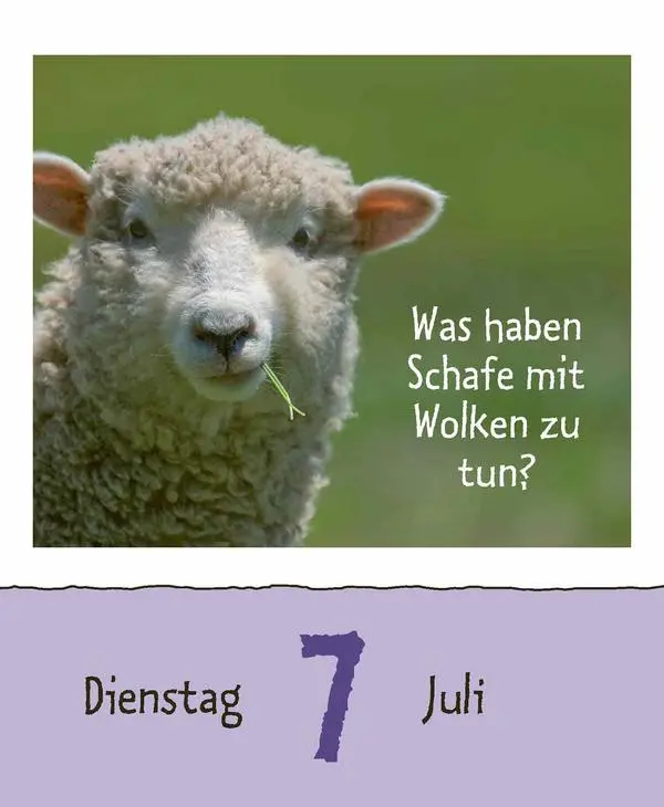 Bild: 9783731889199 | Wie faul ist das Faultier? 2026 | Verlag Korsch | Kalender | 328 S.