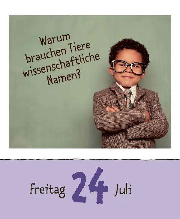 Bild: 9783731889199 | Wie faul ist das Faultier? 2026 | Verlag Korsch | Kalender | 328 S.
