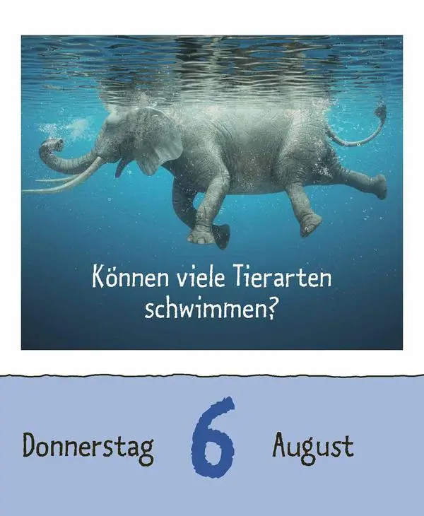 Bild: 9783731889199 | Wie faul ist das Faultier? 2026 | Verlag Korsch | Kalender | 328 S.