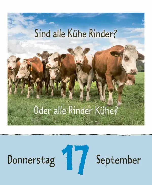 Bild: 9783731889199 | Wie faul ist das Faultier? 2026 | Verlag Korsch | Kalender | 328 S.